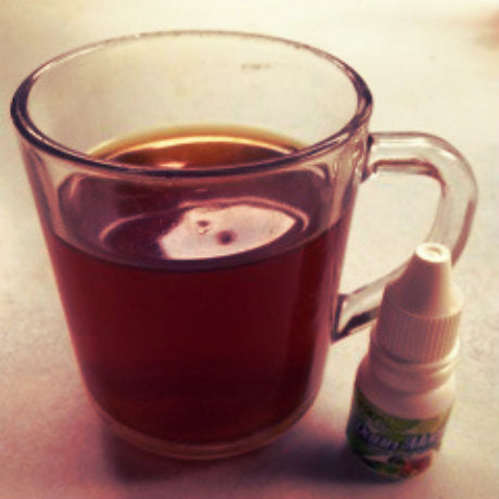 Daun Manis Stevia (Natural Sweetener for Diabetics) By Daie Global Solution